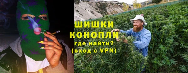 сатива Алексин