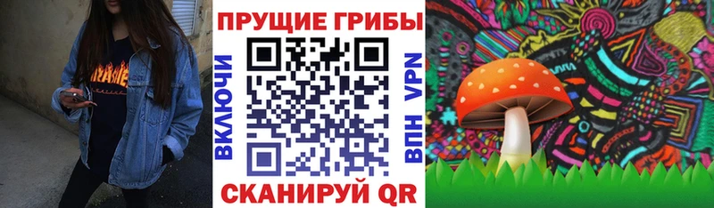 Псилоцибиновые грибы мухоморы Спасск-Рязанский